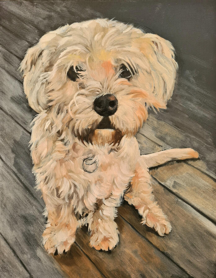 Hondje in opdracht, 50x60cm, olieverf op doek, in opdracht
