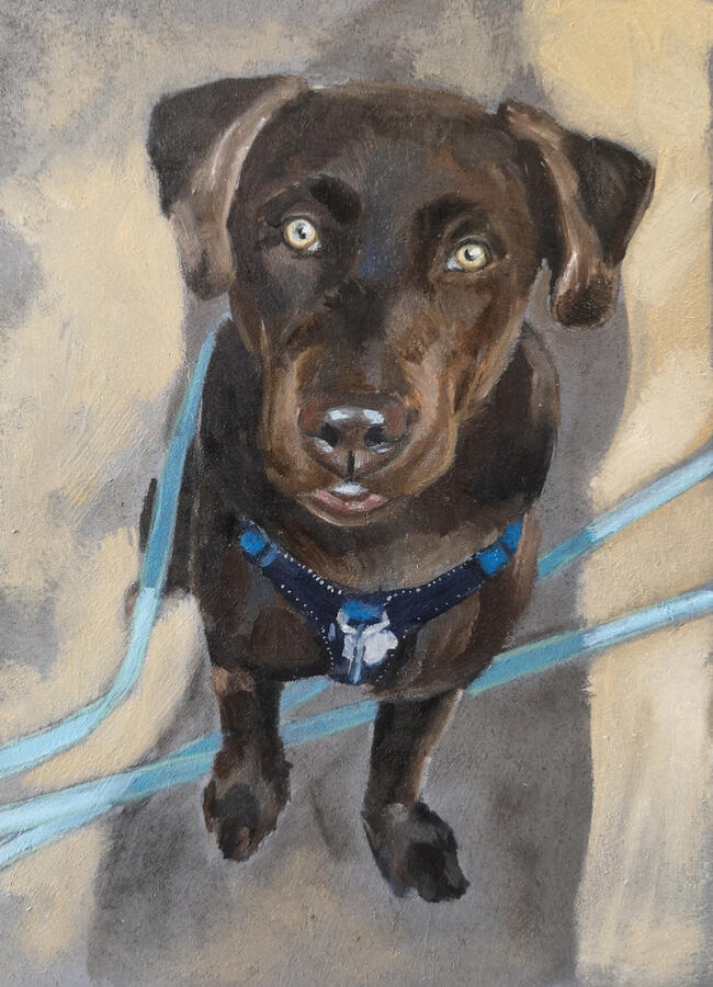 Boris, 13x18cm, olieverf op mdf, verkocht